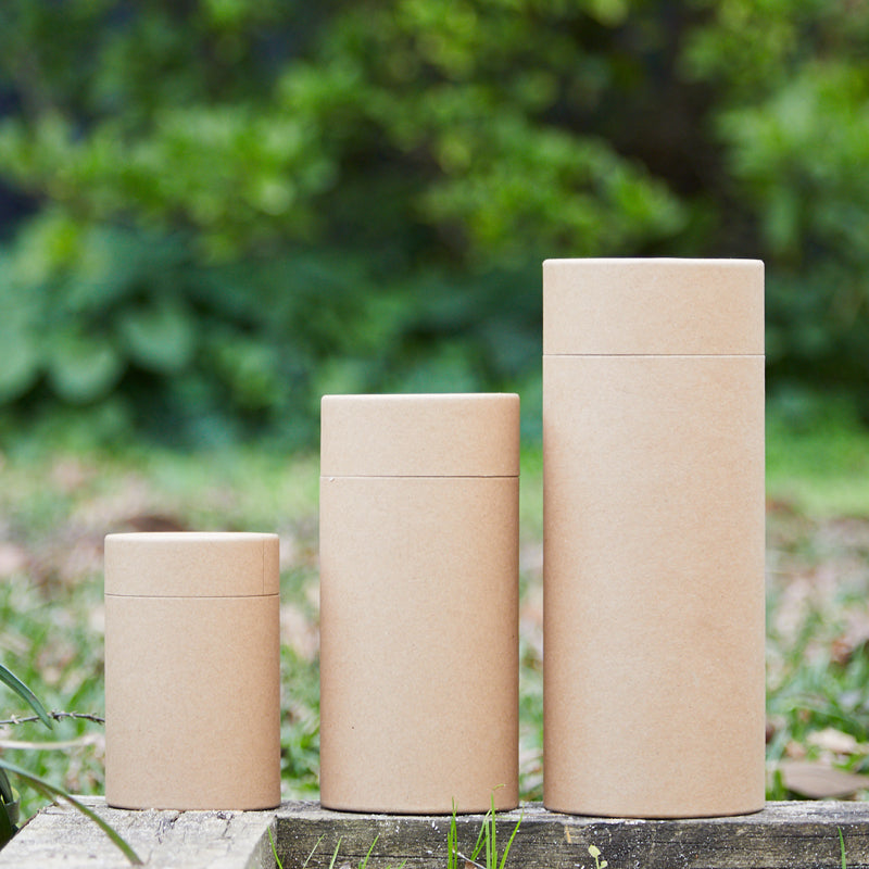 The rising demand for eco-friendly packaging: 3 key reasons customers care