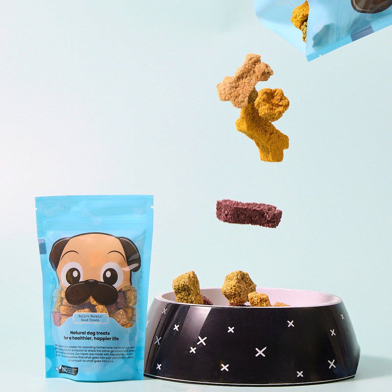 Pet food packaging essentials: What actually keeps your product fresh
