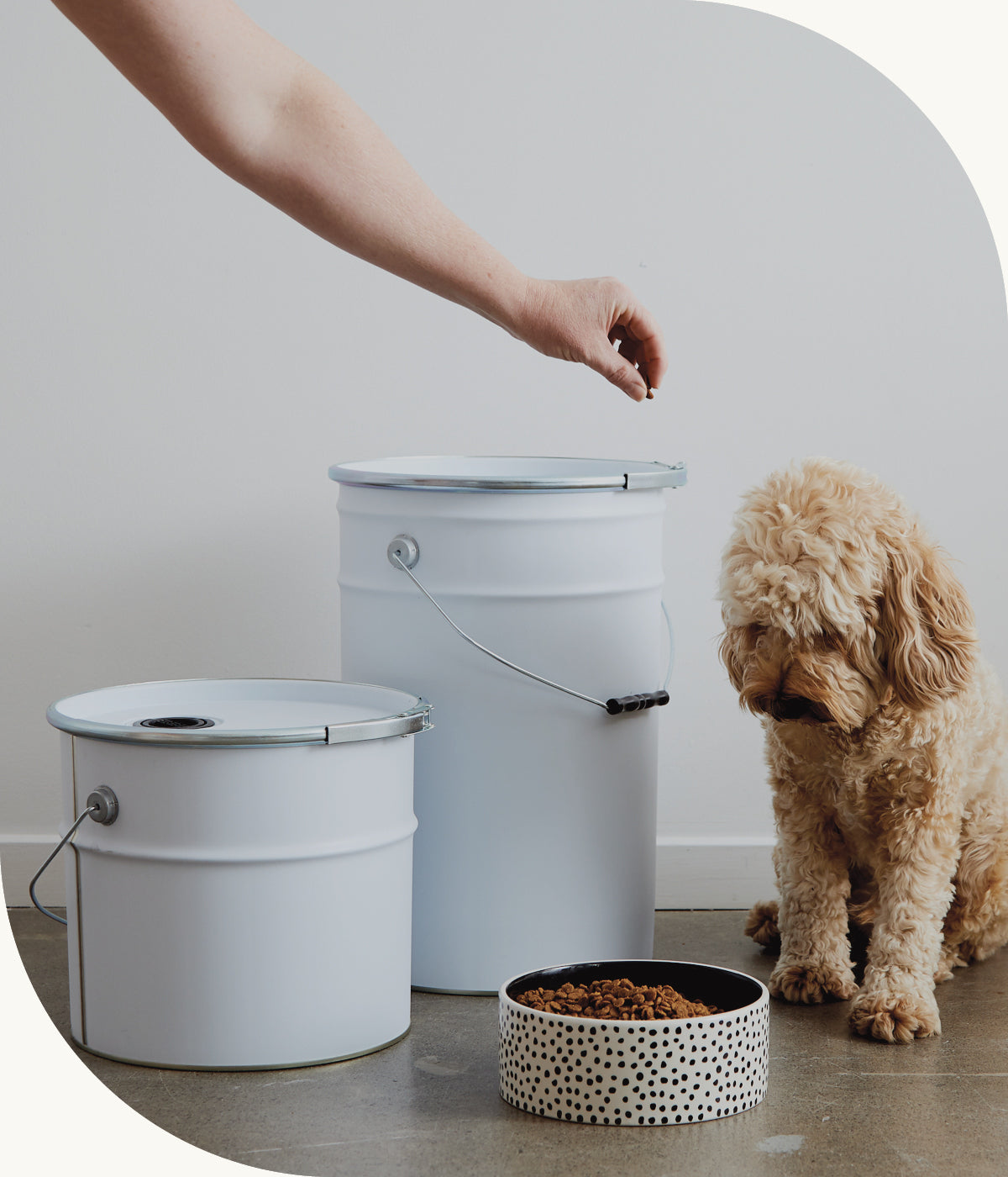 DRUMS & PACKAGING TINS