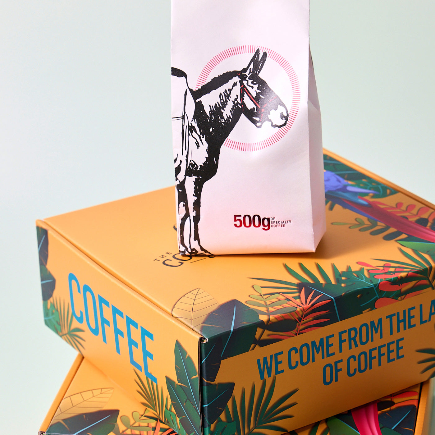 Custom-printed mailer and subscription boxes