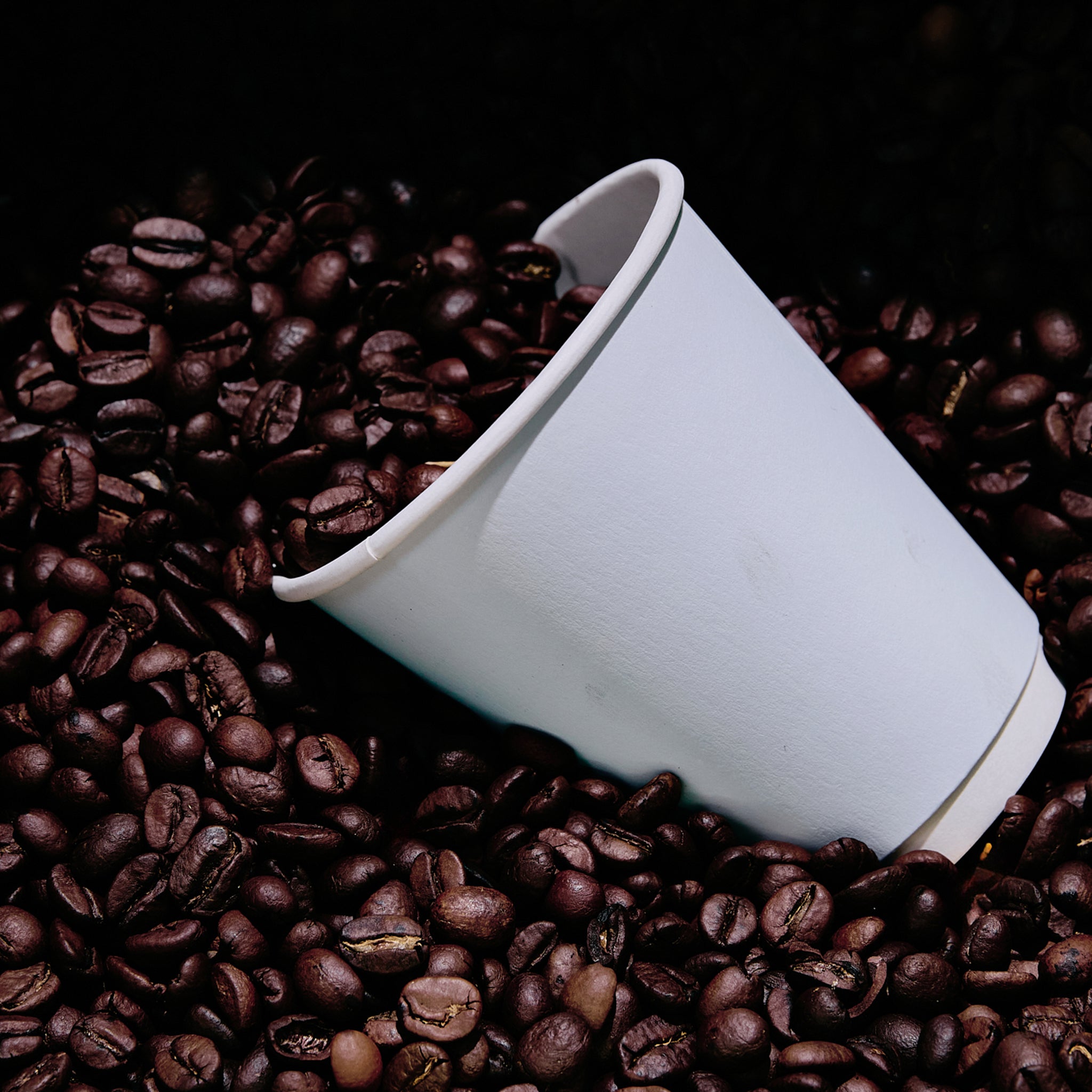 Coffee Cups - Pre-printed TPP Artisan Double Wall